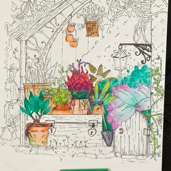 🌵Welcome to the Greenhouse…🌵 - Picture 12 of 12